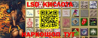 прущие грибы Кингисепп