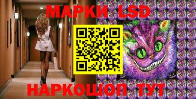 прущие грибы Кингисепп