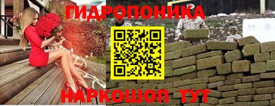 прущие грибы Кингисепп