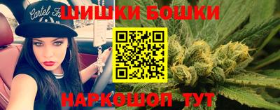 прущие грибы Кингисепп