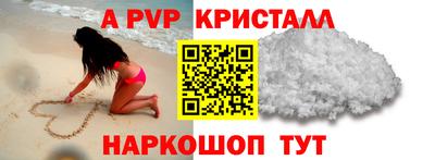 прущие грибы Кингисепп