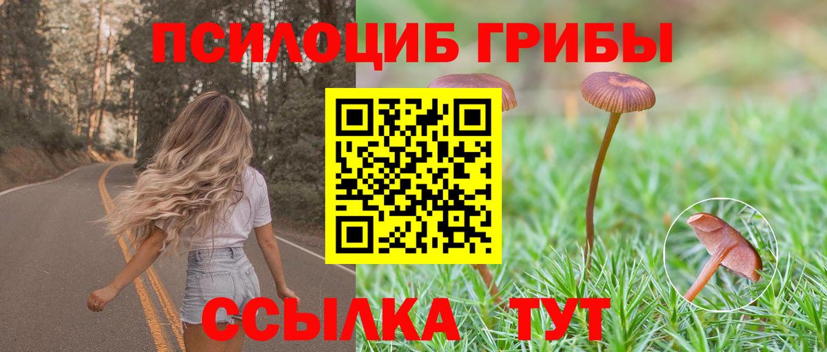 Псилоцибиновые грибы GOLDEN TEACHER Краснодар